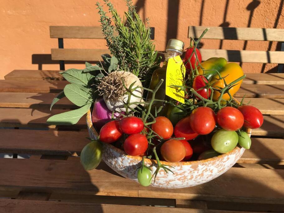 Agriturismo Il Sorbino - Appartamento Da Cocca Pian d'Alma Экстерьер фото