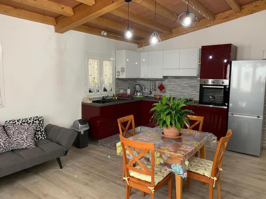 Agriturismo Il Sorbino - Appartamento Da Cocca Pian d'Alma Экстерьер фото