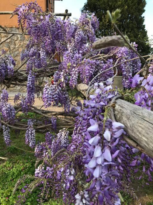 Agriturismo Il Sorbino - Appartamento Da Cocca Pian d'Alma Экстерьер фото