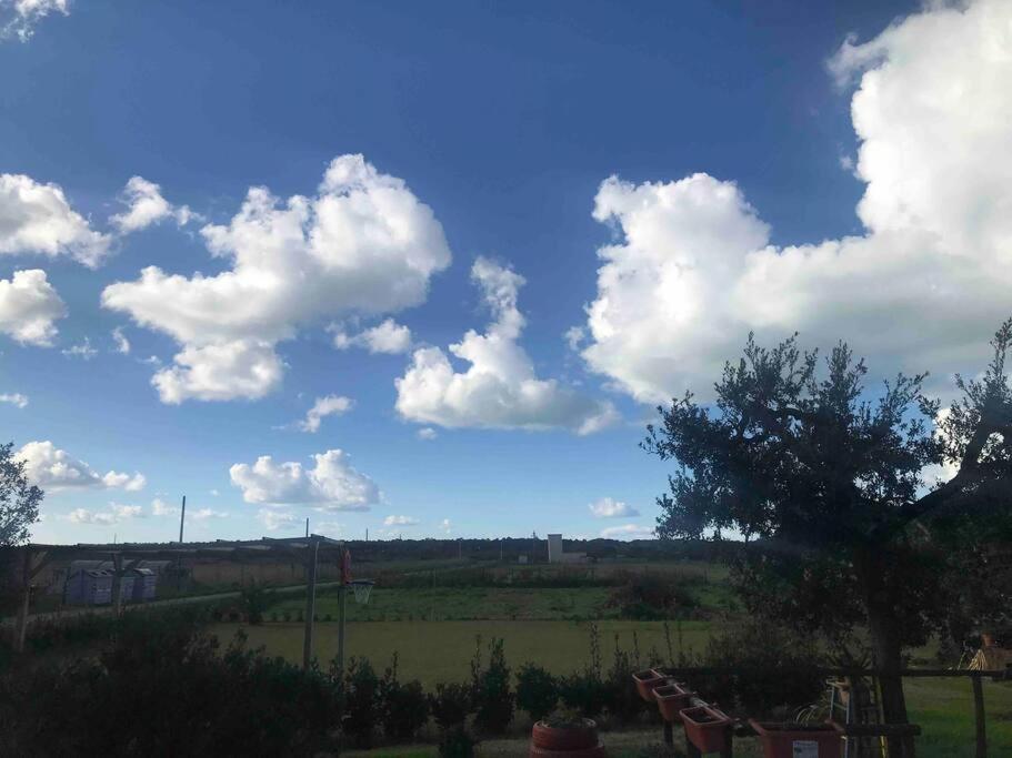 Agriturismo Il Sorbino - Appartamento Da Cocca Pian d'Alma Экстерьер фото